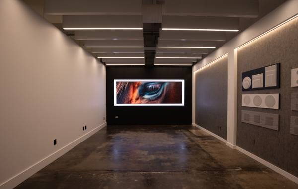 Video Wall & Speaker Demonstration